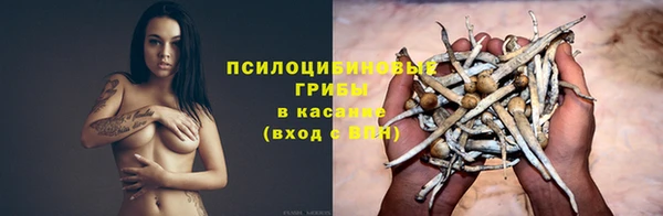 героин Богородицк