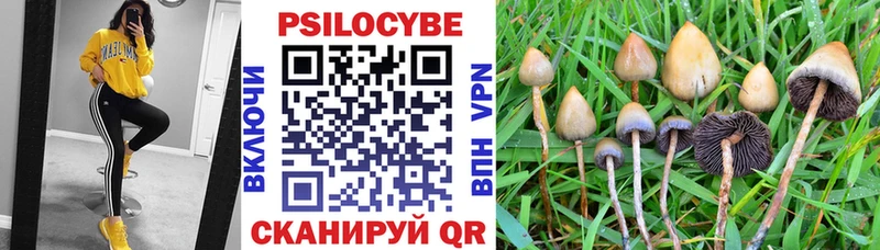 Псилоцибиновые грибы ЛСД Купить Нерчинск